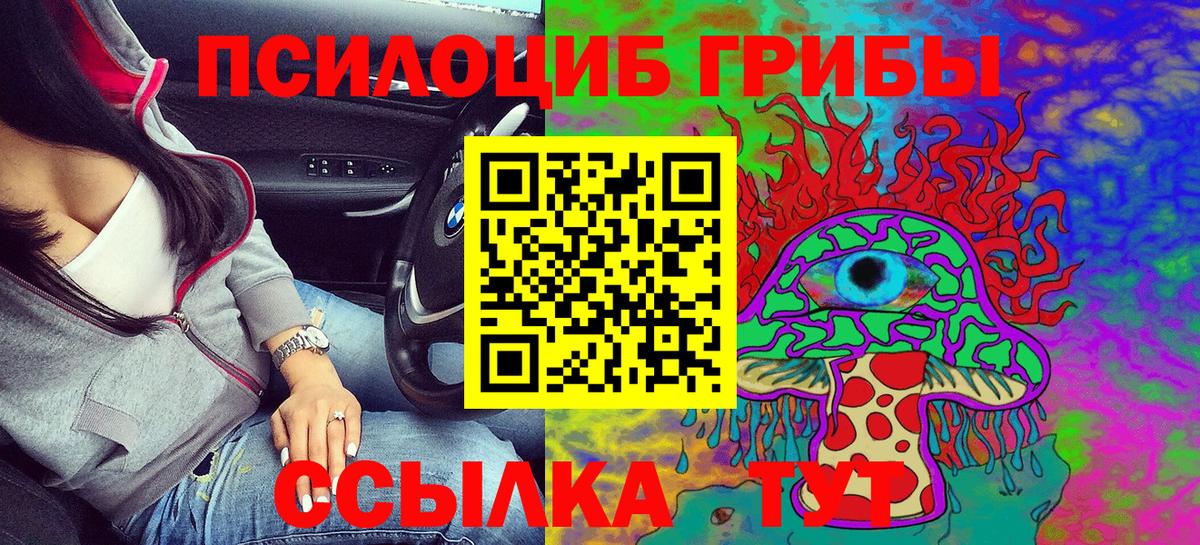 Кунгур  Псилоцибиновые грибы MAGIC MUSHROOMS  Вход с VPN 